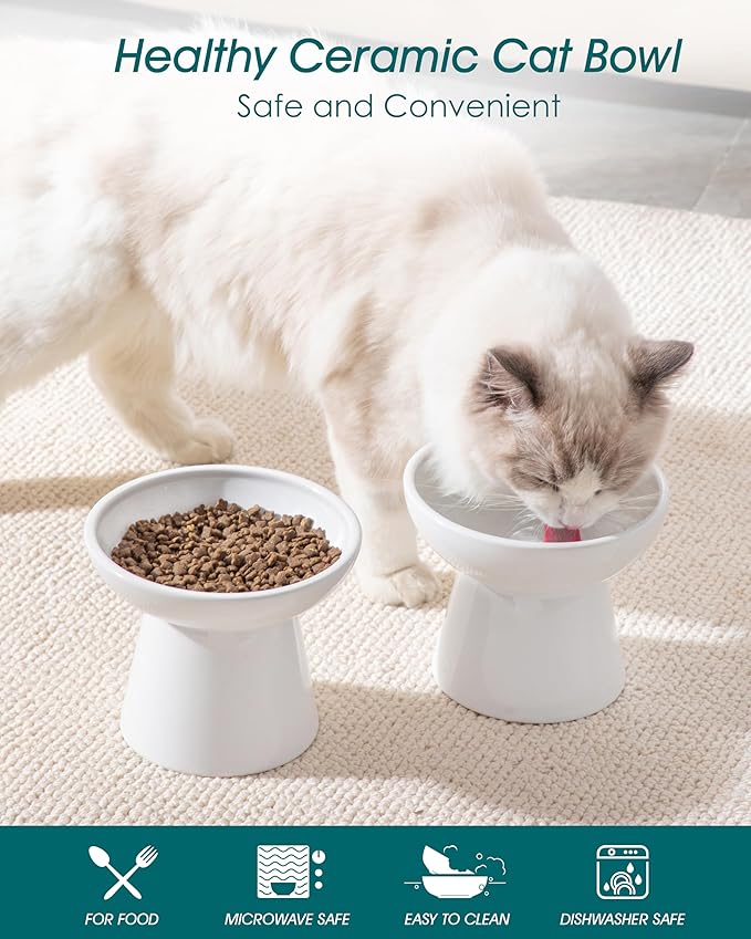 vancasso Elevated Cat Bowls 2-Pack, Ceramic Raised Cat Food and Water Dishes with 5.1" Height & 6.2" Wide Opening - Anti Vomit, Whisker Fatigue Relief for Senior Cats, and Small Dogs (White)