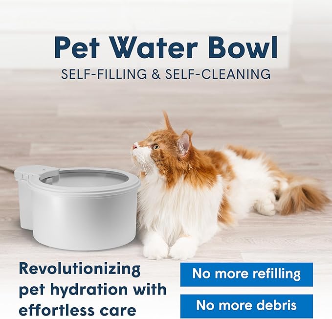 Always Full® 9” Dog Water Bowl with Wall Unit, Self Refilling Clean Filtered Water System, App Enabled Smart Hydration Tracking, Automatic Water Bowl for Dogs and Cats