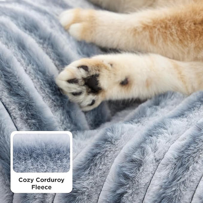 Bedsure ComfyFleece Cute Cat Couch for Pets - Fluffy Cat beds with Premium Soft Corduroy Fleece, Fuzzy Cats beds for Indoor Cats with Washable Cover, Supportive Pet Sofa, 24inch, Vintage Indigo