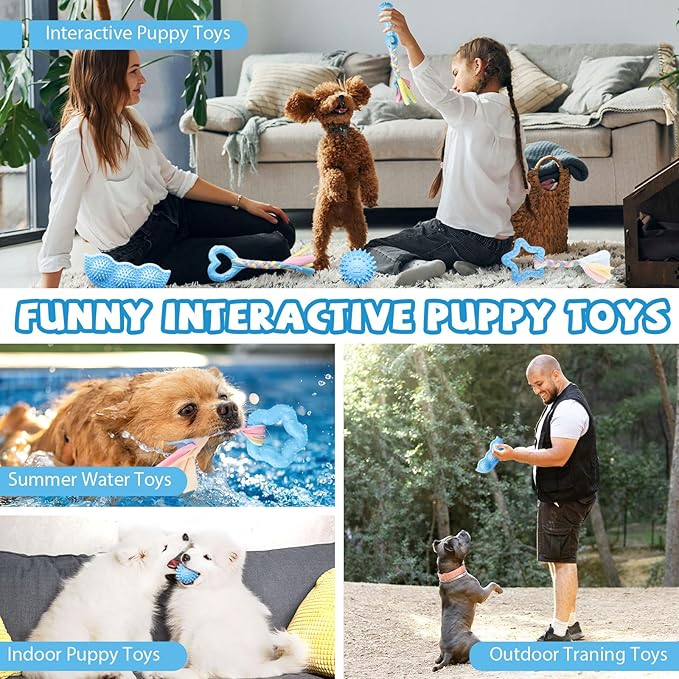 6 Pack Puppy Toys Cute Blue Puppy Chew Toys for Teething Small Breed Dog Chew Toy Interactive Pet Toy Set for Puppies Soft and Durable Small Breed Doggy Teething Ball