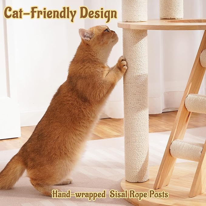 Modern Cat Tree Tower with Scratching Post, 61.5in Tall Cat Tree for Indoor Cats, Multi-Level Solid Wood Cat Furniture with Ladder, Cozy Cat Beds, Cat Condo, Capsule Nest, Dangling Toy, Natural