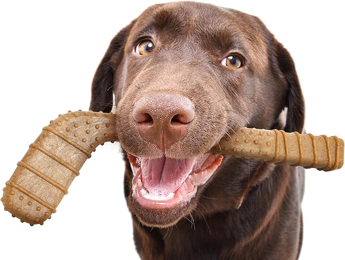 Power Bone Pet Chew Toy for Dogs - Durable, Non Toxic & Pet Safe - Best for Aggressive Chewers, Long Lasting Dental Health, Dog Teeth Cleaning, Dog Life Stages - Hockey Stick 12"