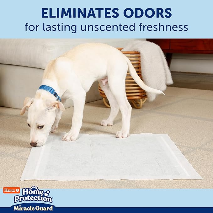 Hartz Miracle Guard Dog and Puppy Dog Pads Max Absorbency 24 Hour Use Odor Eliminating No Leaks, 2XL Size 20 Count