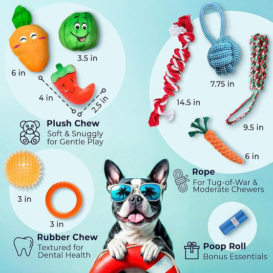 Pacific Pups Products 9-Pack Dog Toys for Small & Medium Dogs – Puppy Toys Set with Rope Toys, Chew Toys, Tug Toys, Plush & Squeaky Toys – Dog Toy Variety Pack