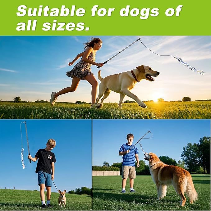 Carbon Fiber Flirt Pole for Dogs, 0.2 Pounds Lightweight Dog Flirt Pole for Large Medium Small Dogs, Telescopic Flirt Stick with 2 Toys & 2 Ropes (28 Inches Pole)