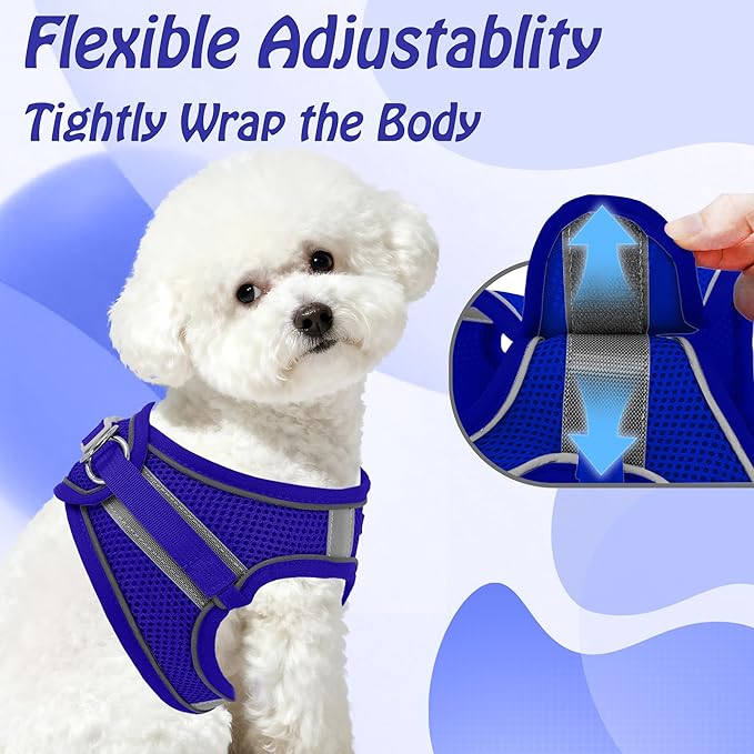 AIITLE Small Harness for Puppy with A Leash - Dog Vest Harness with Super Breathable Mesh, Reflective No-Pull Pet Harness for Outdoor Walking, Running for Small Dogs, Cats Royal Blue XXS