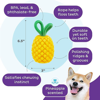Outward Hound Dental Pineapple Dog Toy & Treat Stuffer, 6.8″ x 3.3″ Pineapple-Scent Interactive Chew for Dogs, Promote Healthy Teeth, Gums & Mental Enrichment, Reduce Boredom & Support Dental Health