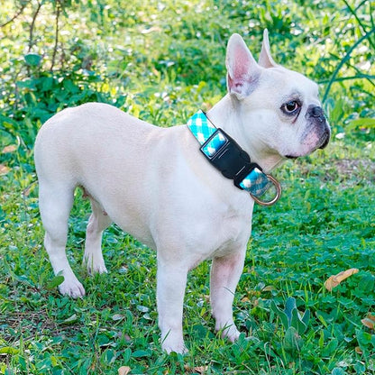 Reflective Dog Collar Padded with Soft Neoprene Breathable Adjustable Nylon Dog Collars for Small Medium Large Dogs (Small (Pack of 1), Vivid Blue Plaid Collar+Leash)