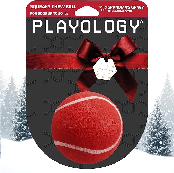Playology Dog Toys | Squeaky Chew Ball - Bouncy Durable Floating Fetch Ball for Dogs | Medium Grandma's Gravy Scented Toy | Limited Edition Holiday Toys - Made from Non Toxic Materials