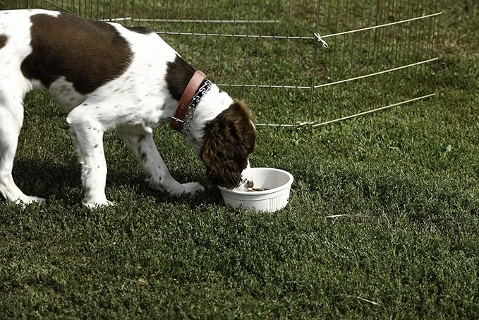 Pet Lodge® Crock Pet Bowl | Heavy Duty Plastic | Dog Feed & Water Bowl | Granite | 6 Cups | Large