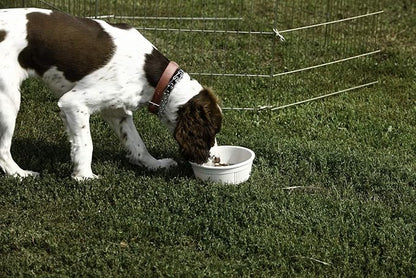 Pet Lodge® Crock Pet Bowl | Heavy Duty Plastic | Dog Feed & Water Bowl | Granite | 6 Cups | Large