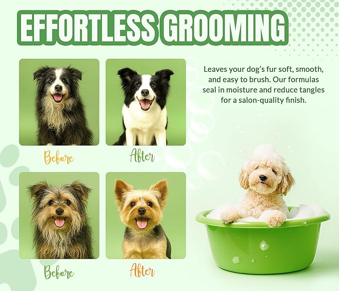 ALFIE'S CHOICE Dog Shampoo for Smelly Dogs | Fresh & Clean Shampoo and Conditioner Set | 16 fl oz Each | Lavender & Rosemary Deodorizing Wash | Odor Control for All Breeds | Made in USA