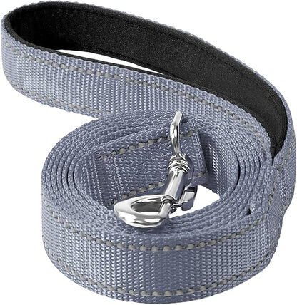 Reflective Dog Leash 4ft Soft Padded Handle Nylon Lead for Small & Medium Dogs, Durable Walking Training Leash for Night Safety (Gray,3/4Inch Wide)