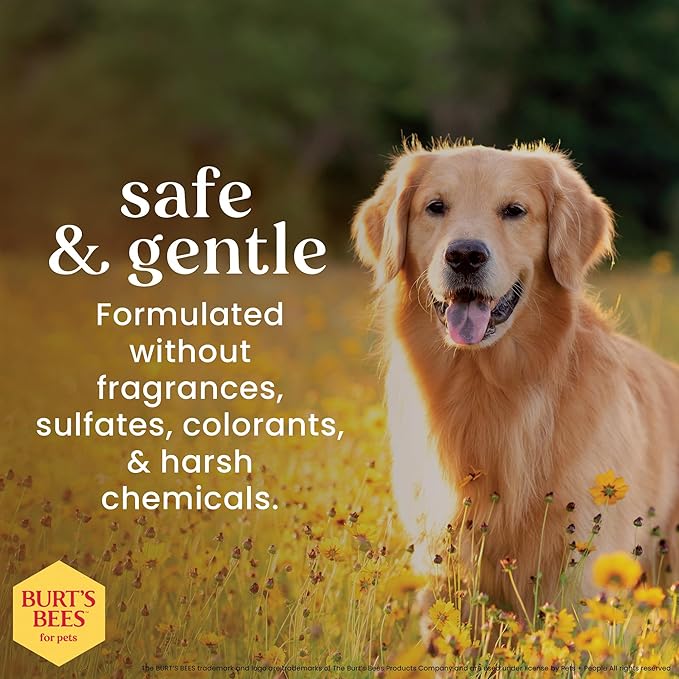 Burt's Bees for Pets Honey Multipurpose Dog Grooming Wipes, Gentle Hypoallergenic Spot Cleaning Sheets, pH Balanced Natural Origin Formula for Paws, Face and Butt, 50 Count - 3 Pack