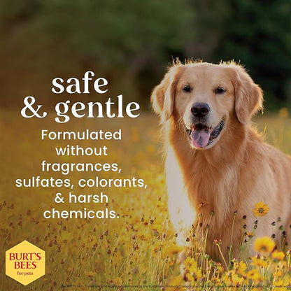 Burt's Bees for Pets Honey Multipurpose Dog Grooming Wipes, Gentle Hypoallergenic Spot Cleaning Sheets, pH Balanced Natural Origin Formula for Paws, Face and Butt, 50 Count - 3 Pack