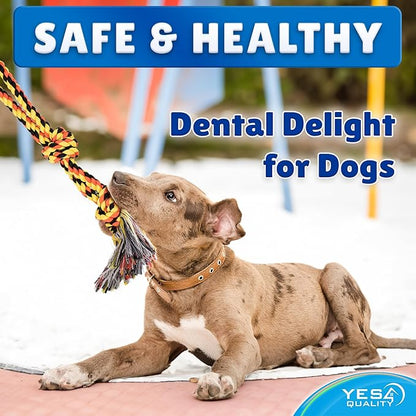 YES4QUALITY Dog Outdoor Bungee Hanging Toy, Blue Interactive Tree Tug Toy Rope w/Metal Spring Kit & 2 Rope Toys, Heavy-Duty Exercise Equipment for Medium & Large Dogs, Tether Tug of War Dog Toys