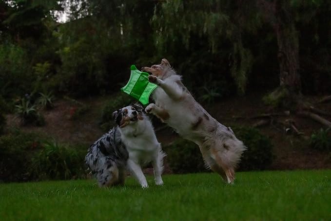 Chuckit! Flying Glow Squirrel Fetch Dog Toy, (10.5 Inch Length), Glow in the Dark Dog Toy, Pack of 1, Size Medium, for All Breeds and Sizes