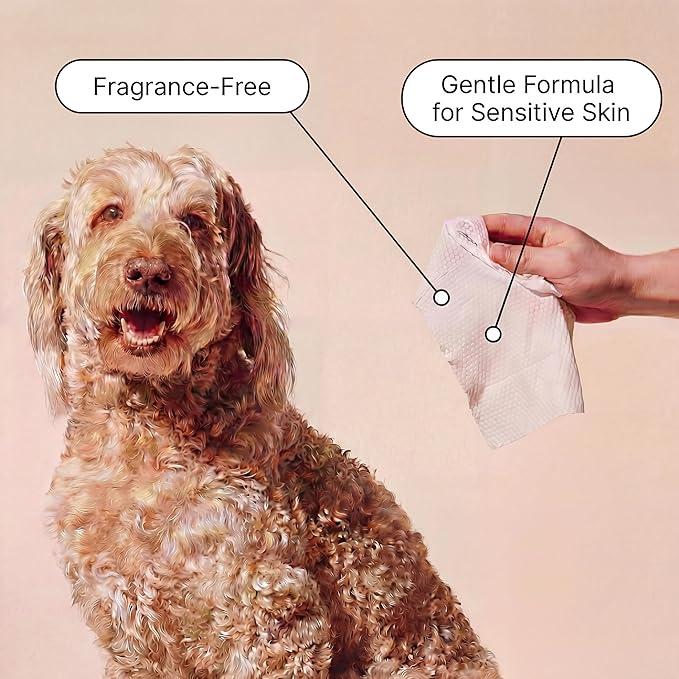 Goldie Dog Essentials Probiotic & Colloidal Oatmeal Dog Wipes for Paws, Skin Folds, Body & Bottom, Hypoallergenic, Fragrance-Free & Unscented, Plant-Based Dog Wipes, 80 Count