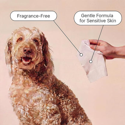 Goldie Dog Essentials Probiotic & Colloidal Oatmeal Dog Wipes for Paws, Skin Folds, Body & Bottom, Hypoallergenic, Fragrance-Free & Unscented, Plant-Based Dog Wipes, 80 Count
