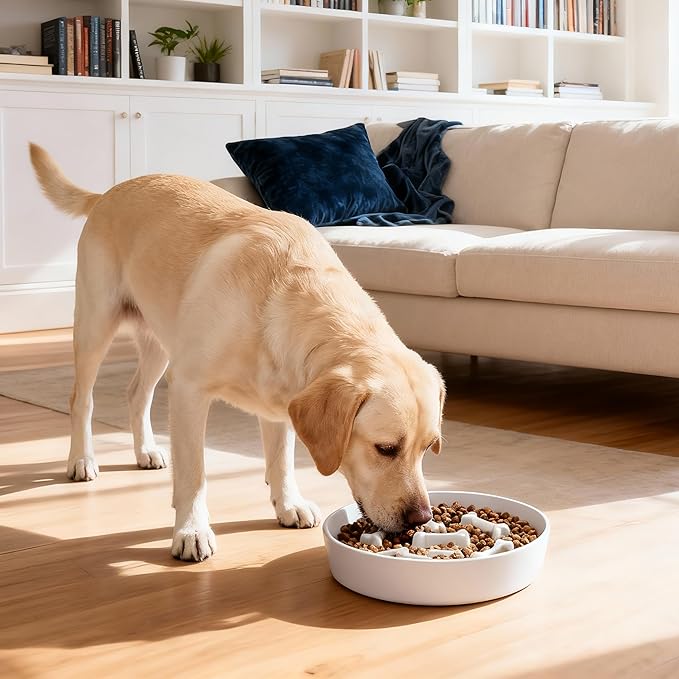 Ceramic Slow Feeder Dog Bowls, Ceramic Slow Feeder Maze Dog Food Bowl, Slow Eating Dog Bowl and Slow Feeder Dog Bowl Anti-Choking for Daily Pet Feeding （White Bone）