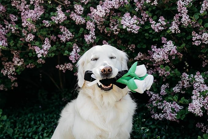 ZippyPaws Wedding Toy - Dog Squeaky Toy to Keep Them Busy, Cute Plush for Small, Medium, & Large Dogs, Stuffed Puppy Toy, Pet Products, Gift for All Breeds, 3 Squeakers - Wedding Bouquet of Roses