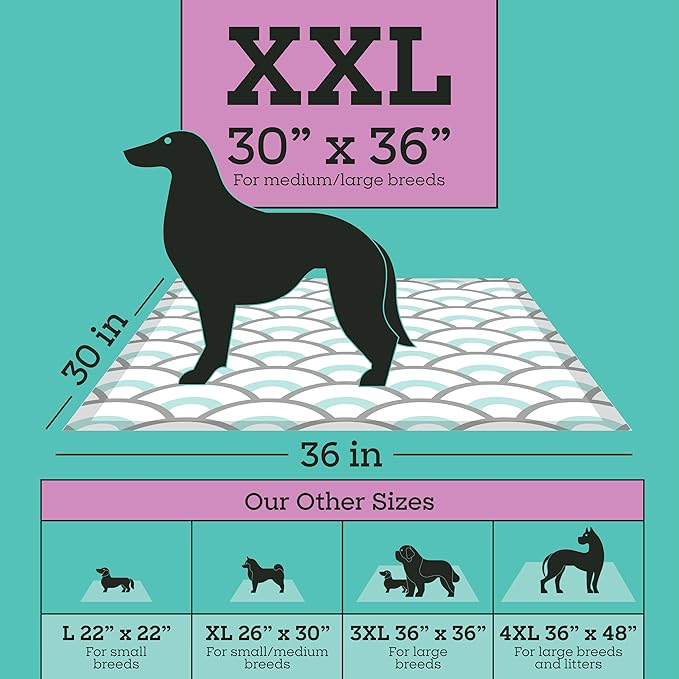 Pet Life Unlimited Smart Prints XXL Puppy Pads for Dogs, Potty Training Pee Pads, 32 Count, 30" x 36", Leak-Proof, Super Absorbent, Quick-Dry, Patterned Pads with Odor Control, Made in USA