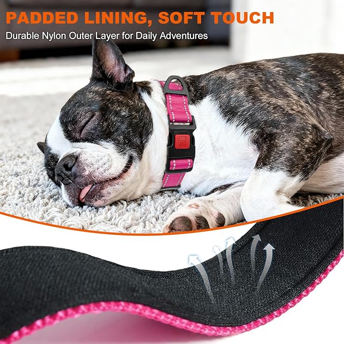 Taglory Reflective Dog Collar with Safety Locking Buckle, Soft Neoprene Padded Dog Collar for Medium Dogs, Metal D-Ring, Adjustable Nylon Neck Strap for Daily Walking, Training & Running, Hot Pink, M
