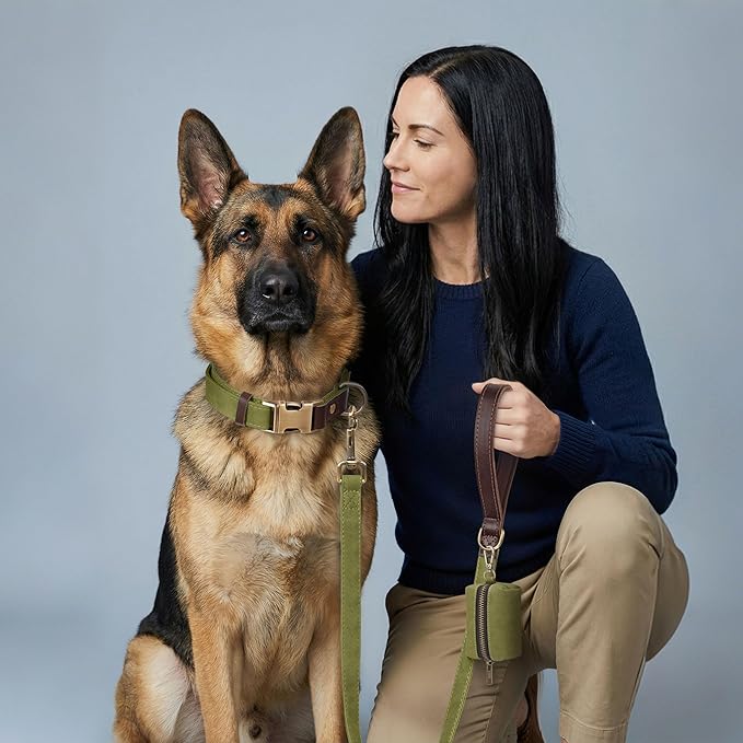 Didog Soft PU Leather Dog Collar for Large Dogs,Classic Adjustable Wide Dog Collars with Quick Release Metal Buckle,Easy Clean and Comfortable with Nylon Lining,Olive Green,XL Neck 20-27", Width 1.2"