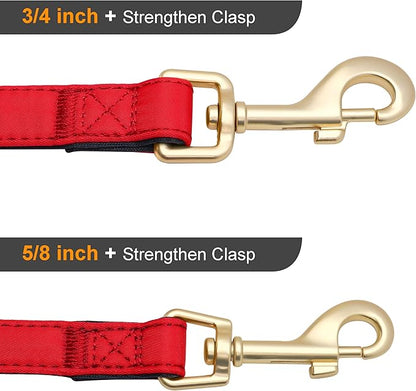 Didog 5FT Colorful Nylon Dog Leash with Soft Full-Length Padding, Lightweight and Durable Pet Leash for Small Dogs, Red, S
