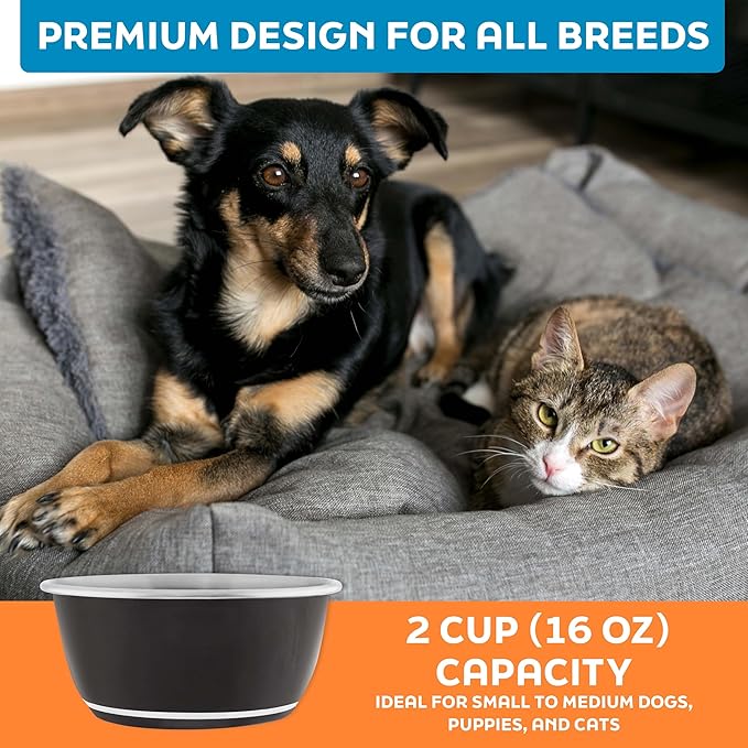 Master Pet Supply Stainless Steel Dog Bowls Set of 2 (16 Oz Each) with Non-Slip Rubber Base - Black Velvet - Basic Dog Food Bowl Water & Food Bowls for Small Medium Large Dogs & Cats, Metal Dish