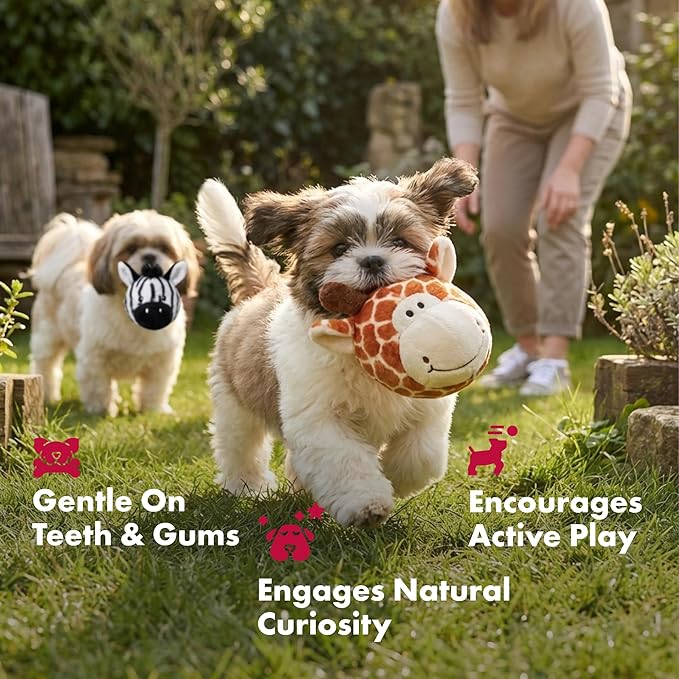 Pet Lou Ez Squeaky Ball Twin Pack - Giraffe and Zebra, 4-inch Height