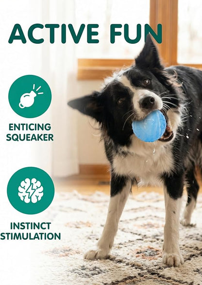 Colorful Squeaky Dog Toy Balls, Spiky Sensory 2.5" Balls for Dogs, Dog Chew Toys for Teething, Non-Toxic TPR, 3 Pack, 2.5",Painting