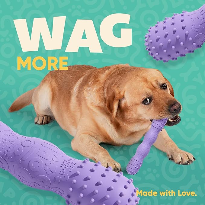 Yomp ToothBuddy MAX Dog Dental Chew Toy – Teething and Chewing Toy for Soft and Medium Chewers – Pet-Safe, Non-Toxic, All-Natural Rubber Dog Bone Toy