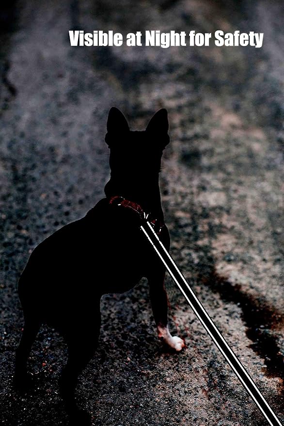 6FT Reflective Dog Leash for Large&Medium and Small Dogs,Nylon Leashes for Walking and Training,6 Foot Leash with D Ring, 6 FT (1 inch X 6FT, Black)
