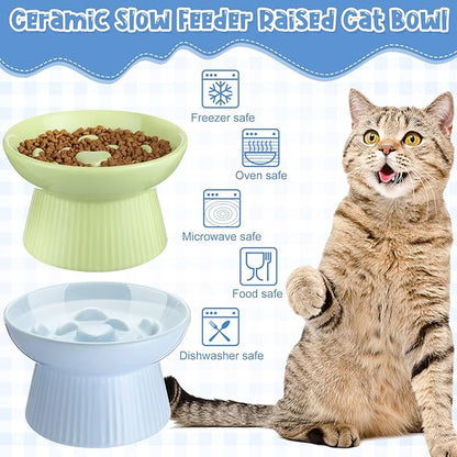 Tioncy 2 Pcs Raised Cat Slow Feeder Bowl Ceramic Elevated Cat Dog Food Bowl No Spill High Edge for Dry Wet Food and Water Easy to Clean, Dishwasher Safe (Green,Blue)