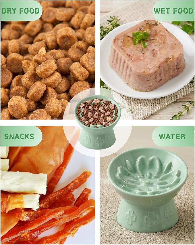 TRUVIC Ceramic Slow Feeder Cat Bowl, 15° Tilted Elevated Cat Slow Eating Bowl for Neck Protection, Anti Vomiting Dog Slow Feeder, Whisker Friendly & No Black Chin for Cats and Small Dogs, Green