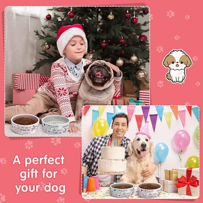Maxcheck 2 Pcs 5 Inch Ceramic Dog Bowls Dishes for Small Dogs Cute Cartoon Pattern Puppy Cat Bowls Heavy Food Water Dishes for Pets Feeding Travel, Dishwasher Safe Microwave Safe(Pink and Gray)