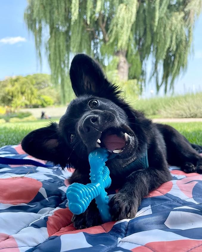 Nylabone Comfort Hold X-Bone Power Chew Toy for Dogs, Dog Toys for Aggressive Chewers, Beef Flavor, Small - Up to 25 lbs, 1 Count