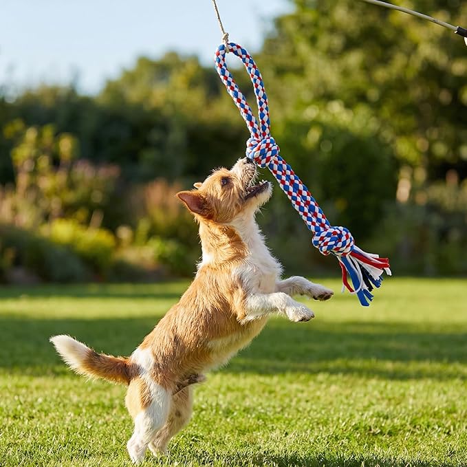 2pcs Small Dog Rope Toys, Puppy Rope Toys Teething, Rope Puppy Teething Toy for Aggressive Chewers for Puppys Small Dogs Teeth Health, Relieve Boredom