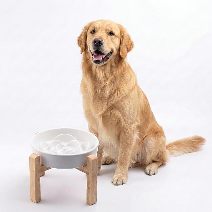 Petygooing 8.66 in Dog Bowl Ceramic Slow Feeder for Medium Large Dogs,Elevated/Raised Slow Feeding Dog Food Water Dish Heavy Weighted,Puzzle Eating Bowl Modern Maze (White, 8.66in)