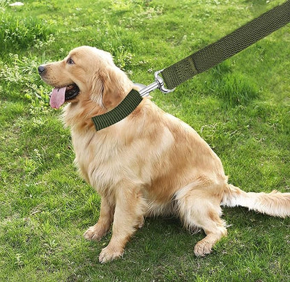 TAIAN 4FT/5FT/6FT Strong Dog Leash, Nylon Dog Leashes for Small Medium Large Dogs (1 in x 4 ft, Green)