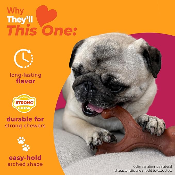 Nylabone Strong Chew Wishbone Dog Toy Made with Real Bacon, Durable Chew Toys for Aggressive Chewers, Long Lasting Dog Bone, Keeps Dogs Busy, Small Breeds - Up to 25 lbs