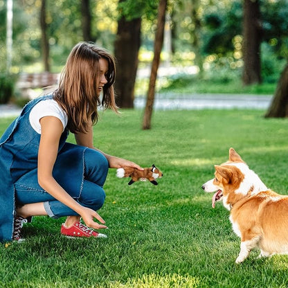 ALL FOR PAWS Squeaky Doy Toy, Fox Dog Toy for Small Medium Large Breed, Puppy Fetch Toy with Squeaker, Plush Chew Dog Toy, 10.2 x 7.9 x 4.7 inches - Classic S