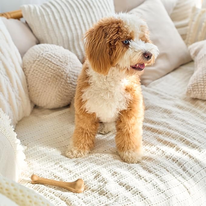SPOT Bam-Bones Bone - Made with Strong Bamboo Fiber, Durable Long Lasting Dog Chew for Light to Moderate Chewers, Great Toy for Adult Dogs & Teething Puppies under 25lbs, 5.75in, Chicken Flavor