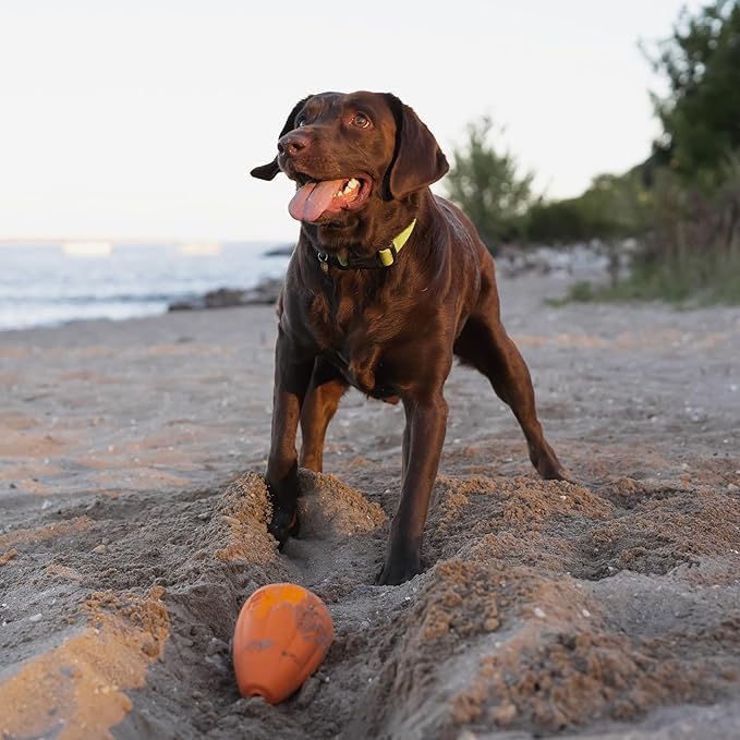 Chew King by Mammoth Premium Treat Dispensing Dog Toy, Durable Natural Rubber Chew Toy with Bacon Flavor, Safety Air Vent, Interactive Enrichment Toy for Aggressive Chewers, XXL - Orange