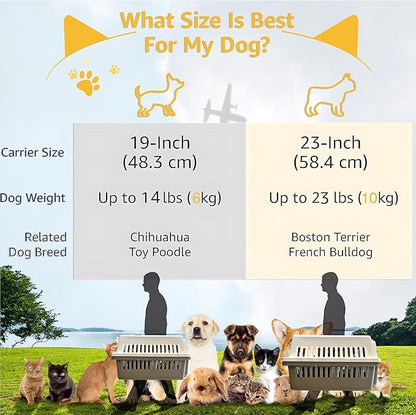 LLGJ-Pets Carrier, Kennel, 23 In. Long, Hard-Sided, for Dog/Cat up to 20 lbs, Suit for Airline/Road Travel (Orange)