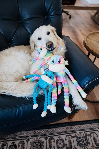 ZippyPaws Crinkle Monkey - Interactive Dog Toys to Keep Them Busy, Squeaky Plush Pet Toy for All Breeds, for Small and Medium Dogs, Contains Round Squeakers - Rainbow & Blue 2-Pack, Small