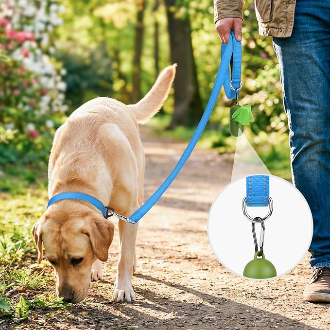 Joytale Dog Leash, 6 FT Double-Sided Reflective, Padded Handle Nylon Heavy Duty Leashes for Small Dogs Walking, Teal