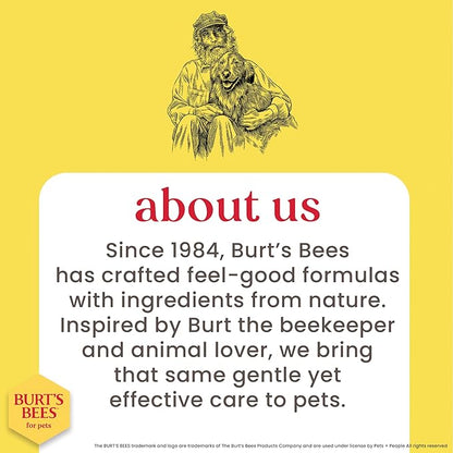 BURT'S BEES FOR PETS Deodorizing Spray for Dogs with Apple and Rosemary, 99.7% Natural Origin Formulas, Waterless Dog Shampoo - Gentle Dry Shampoo for Dogs, Best Dog Shampoo, 10 oz