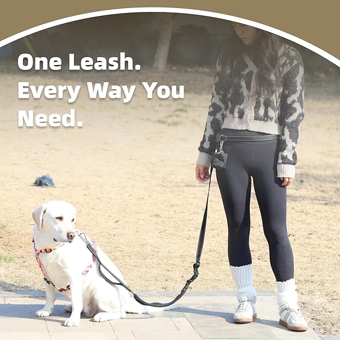 6-in-1 Hands-Free Dog Leash, Waist & Crossbody Bungee Lead with Dual Padded Handles, Bungee Shock Absorbing, Seat Belt Buckle, Reflective for Small Medium Large Dogs, Black